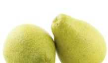 麻豆柚子,探寻柚子界的明星品种